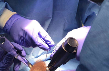 Funktionen und Anwendungen orthopädischer Sägen